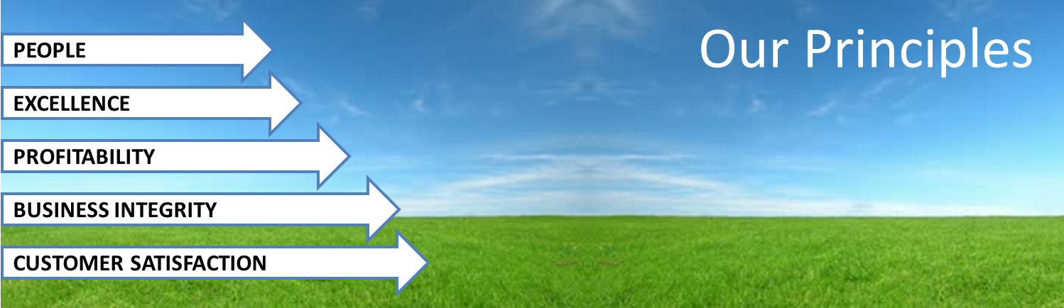 Guiding Principles 2